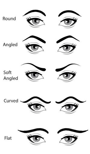 Types of eyebrows